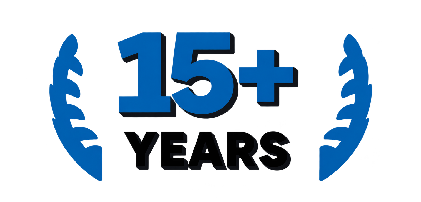 15 plus years of experience